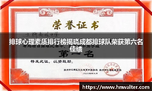 排球心理素质排行榜揭晓成都排球队荣获第六名佳绩