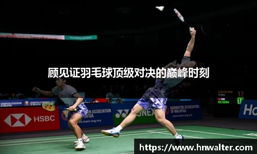 顾见证羽毛球顶级对决的巅峰时刻