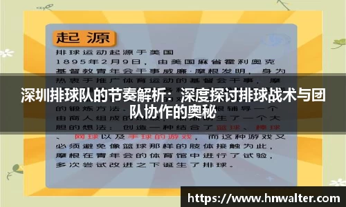 深圳排球队的节奏解析：深度探讨排球战术与团队协作的奥秘