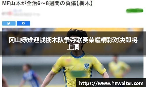 冈山绿雉迎战枥木队争夺联赛荣耀精彩对决即将上演