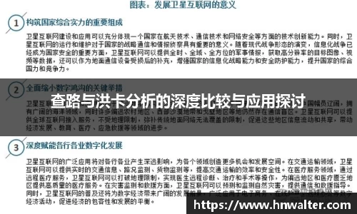 查路与洪卡分析的深度比较与应用探讨