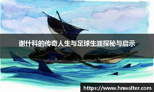 谢什科的传奇人生与足球生涯探秘与启示