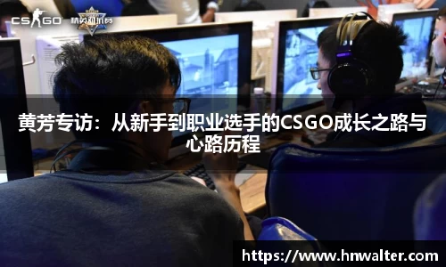 cq9电子官网